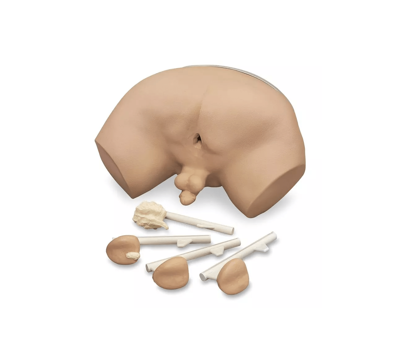 Prostatauntersuchungs - Simulator - Erler - Zimmer